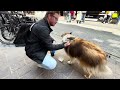 [Belgium] Bruges(Brugge), cool place even if meet 30 years later🇧🇪 4K HDR