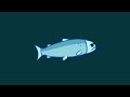 I animated a salmon spinning to Funkytown for 1 hour because why not