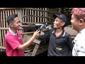 Untung Berlimpah Dari Ternak Kambing Perah. Ribuan Liter Susu Tiap Minggu