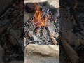 Relaxing campfire and birds ASMR