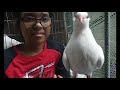 Bird and Little girl become best friends ll Sweet Birds Life