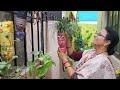 Best DIY Garden Visit Part -1 || Best from waste || Creative Garden || Waste Material Gardening