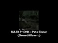 SULEK PHONK - Pete Sinner (Slowed&Reverb)