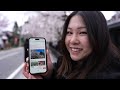 Going to the #1 Cherry Blossom Spot in Japan | Travel Gone Vong