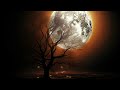 Relaxing, calming, fantasy video with music 432 hz 💕 #relaxing #soothingrelaxation #calming