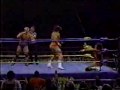 Hollywood Blondes  VS  Zenk and Gunn