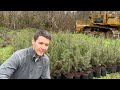 How to Make $500 Dollars an Hour with Trees | Sell Plants for Profit