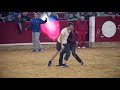 Dangerous Bull Fights Compilation 2020 Funny Fails | Epic | Must Watch!