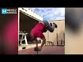 Strongest U.S. MARINE - Julian Miguel Arroyo | Muscle Madness