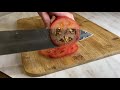 Making a Japanese Kitchen Knife from A Saw. DIY