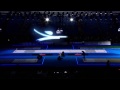 Ota vs Massialas-----Moscow 2015 world Championship men's foil final