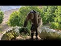 The dangerous path of the village towards nature and mountains for edible and medicinal plants