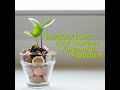 Spiritual Laws that Govern Financial Freedom - Part 2