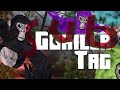 Playing gorilla tag, casual with Stanley￼￼ (new guest )￼￼