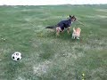 Double fetch