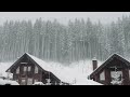 Blizzard Storm Sounds | Relaxing Winter Background Sounds | Heavy Wind & Snow