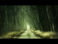 Ambient Horror Dark Ambiance Forest