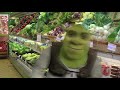 Shrek's Day Out - Reverse