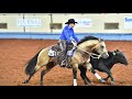 A Judge's Perspective: 2017 AQHA World Junior Working Cow Horse World Champion