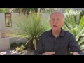 James Cameron Talks New Zealand Culture, and How it Influenced Avatar | Travel + Leisure