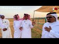 الحلقة الاولى مع رجل الاعمال ومالك الإبل / مجدي محمد الشتيفي في اكبر مزارع الانتاج للإبل جازان 1442