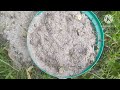 Sekreto ng matabang lupa || garden soil  #farming