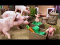 DIY making SWIMMING POOL and WATER PUMP to shower the pigs