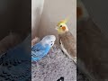 Чтож там такое...!? What is it there..?😳👹🐥🤩🤣