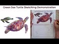 How to Draw a Realistic Sea Turtle