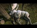 RDR2 hunting the legendary moose
