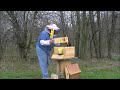 Tara Beez~ My first Bee Hive