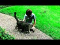 This is a Very Friendly Cat! #sweet #animal  #catlover #nature #viral #viralvideos #viralvideo