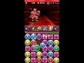 [パズドラ]ランダン50万弱