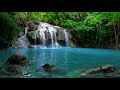 Waterfall  Jungle Sounds   Relaxing Tropical Rainforest Nature Sound  Singing Birds Ambience