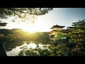 Zen Vibes: Relaxing Japanese Music for Stress Relief and Mindful Meditation