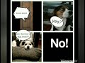 5 funny dog memes volume 2 🤣