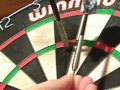 Leighton Rees darts from Winmau