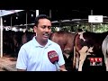 অর্ধকোটির হামজার সঙ্গে সেলফি তুলতেও প্রতিযোগিতা | Qurbani Cow Market | Eid Ul-Adha | Narayanganj
