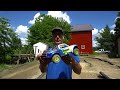 Arrma Mohave Grom First Backyard Battle Against the Losi Mini B!