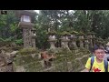 BIKIN MERINDING masuk KUIL ini #japantravel #naracity #tample #todaiji