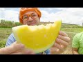 Blippi Visits Tanaka Farms | Blippi | Learning Videos For Kids | Educational Videos For Toddlers