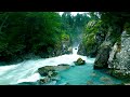 Relaxing Mountain River Sounds, White Noise, Perfect for Relaxing, Sleeping, Focusing