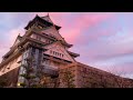 Cherry blossom viewing at Osaka Castle Park 🌸 Japan #SlowTravelDiaries 🇯🇵 pt. 6 | Solo travel vlog