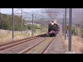 NSW steam locomotives