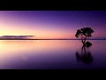 Enya - Boadicea (sleepwalkers theme) (1 hour version)  Calming Video