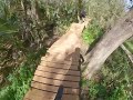 Winter Riding  in Florida at Carter Rd Mountain Bike Trails