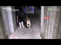 Cuteness overload: Conversation between panda and his keeper