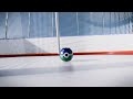 Score - A Pokeball Hockey Game