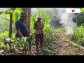 Casual chat in the Oakde farm || the new land was bought by the elder Baba Sa'i