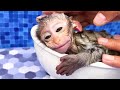 Baby Monkey BonBon Makes Popcorn and Eats Pizza with Cute Puppy - Crew BonBon